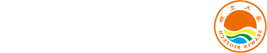 青岛杏彩电子
集团
